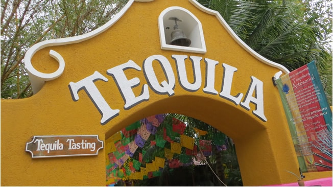 Tequila tasting