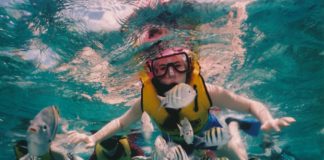 The Top 11 Shore Excursions From Cozumel Cozumel snorkeling