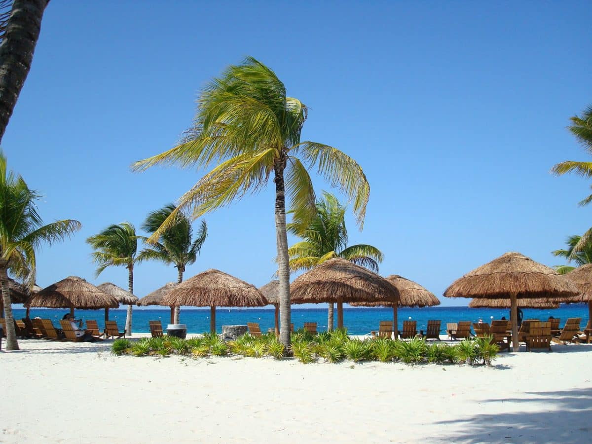 9 Cozumel Restaurants & Bars Near the Cruise Port | Cruzely.com
