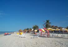 7 Restaurants Near the Progreso Cruise Pier Beach restaurant in Progreso