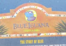 BlueIguana Tequila Bar Full Menu With Prices Blueiguana logo