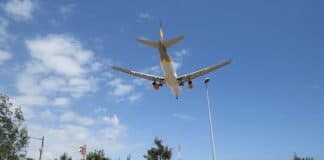 Should You Fly Into the Miami or Fort Lauderdale Airport For Your Cruise? Airplane taking off