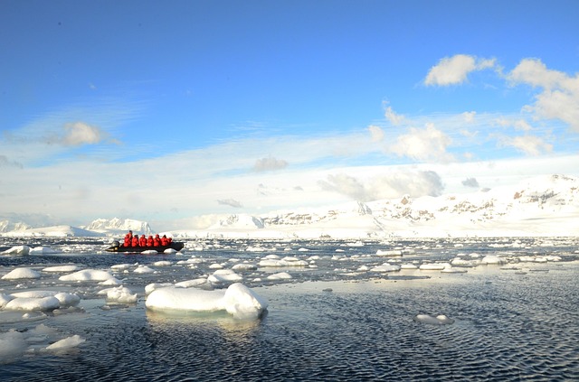 South pole cruise expedition