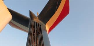Three Carnival Ships Fail Health Inspection (Including Its Newest Ship) Carnival whale tail