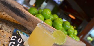 Answered: First Day Drink Packages and Alcohol on Galveston Cruises Margarita