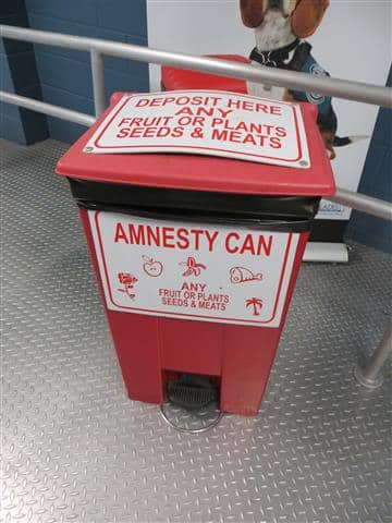 Amnesty Can