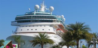 12 Must-Have Tips for Sailing From Port Canaveral Ship behind palm trees