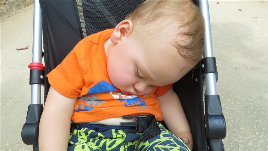 Child napping in a stroller