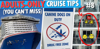 12 “Adults-Only” Cruise Tips You Can’t Miss Adult cruise tips
