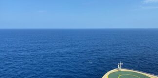 9 Things to Know About the Cruise Hantavirus Situation