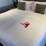 7 “Naughty” Things You Didn’t Know About Your Cruise