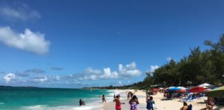The 5 Closest Beaches to the Nassau Cruise Port (Free to Visit) & How to Get There Cabbage Beach looking east in Nassau