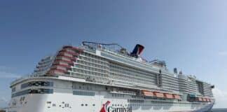 The Beginner’s Guide to Carnival Rewards: How it Works in Simple English