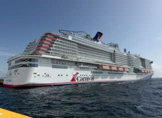 The Beginner’s Guide to Carnival Rewards: How it Works in Simple English