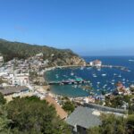 Catalina on a Cruise: What to See, Do, & Know For Your Visit View of Catalina Island in California