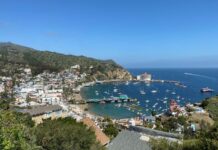 Catalina on a Cruise: What to See, Do, & Know For Your Visit View of Catalina Island in California
