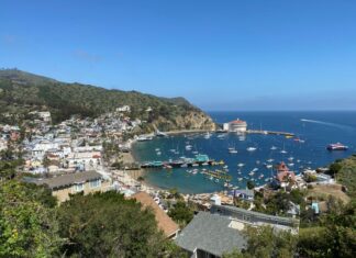 Catalina on a Cruise: What to See, Do, & Know For Your Visit View of Catalina Island in California