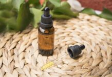 Can I Bring CBD on a Cruise Ship? Here’s the Answer…