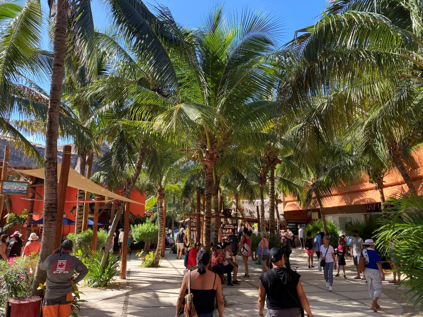 cruise ship to costa maya