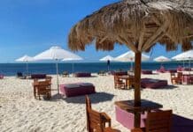 14 Savvy Tips For Visiting Cozumel on a Cruise