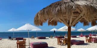 14 Savvy Tips For Visiting Cozumel on a Cruise