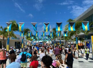 9 Amazing Things to do in Nassau with Kids on a Cruise