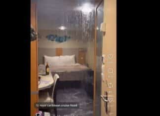 Must-See Viral Video Shows a Cruise Cabin Flooded With Water POURING From Ceiling