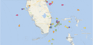 Stunning Map Shows Dozens of Cruise Ships Off Florida Coast Map of cruise ships at sea