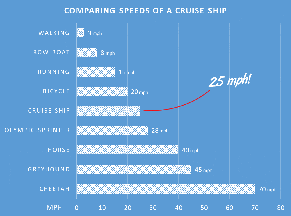 Chart of speed of a cruise ship