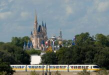 The Best Ways to Get Around Orlando Depending on Your Vacation (Uber, Car Rental, Shuttle)