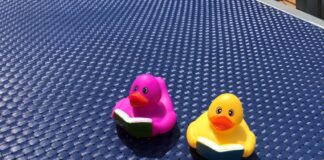 Explained: Rubber Ducks on a Cruise Ship (And How to Find Them) Ducks found on a cruise ship