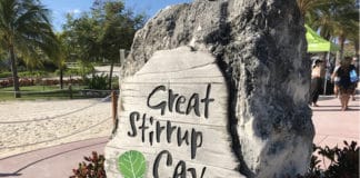16 Things to do on Great Stirrup Cay (Norwegian’s Private Island) Rock on Great Stirrup Cay