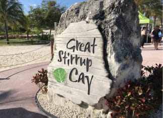 16 Things to do on Great Stirrup Cay (Norwegian’s Private Island) Rock on Great Stirrup Cay
