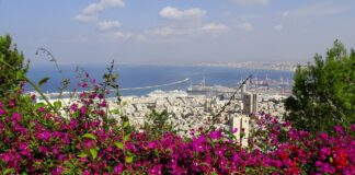 Cruise Lines Cancel Trips & Ports of Call Due to Middle East Conflict