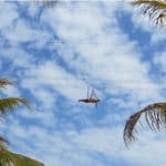 harvest-caye-zipline