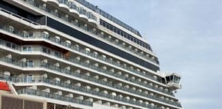 With Violence in Mexico, Cruises Cancel Stops in Puerto Vallarta. Could More Be on the Way?