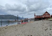 Cruise Guide: 8 Tips & Things to Know for Icy Strait Point (Hoonah, Alaska) View of beach in Icy Strait Point, Alaska