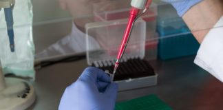 9 Answers About Cruising During the Coronavirus Outbreak Analysis of a sample at a medical lab