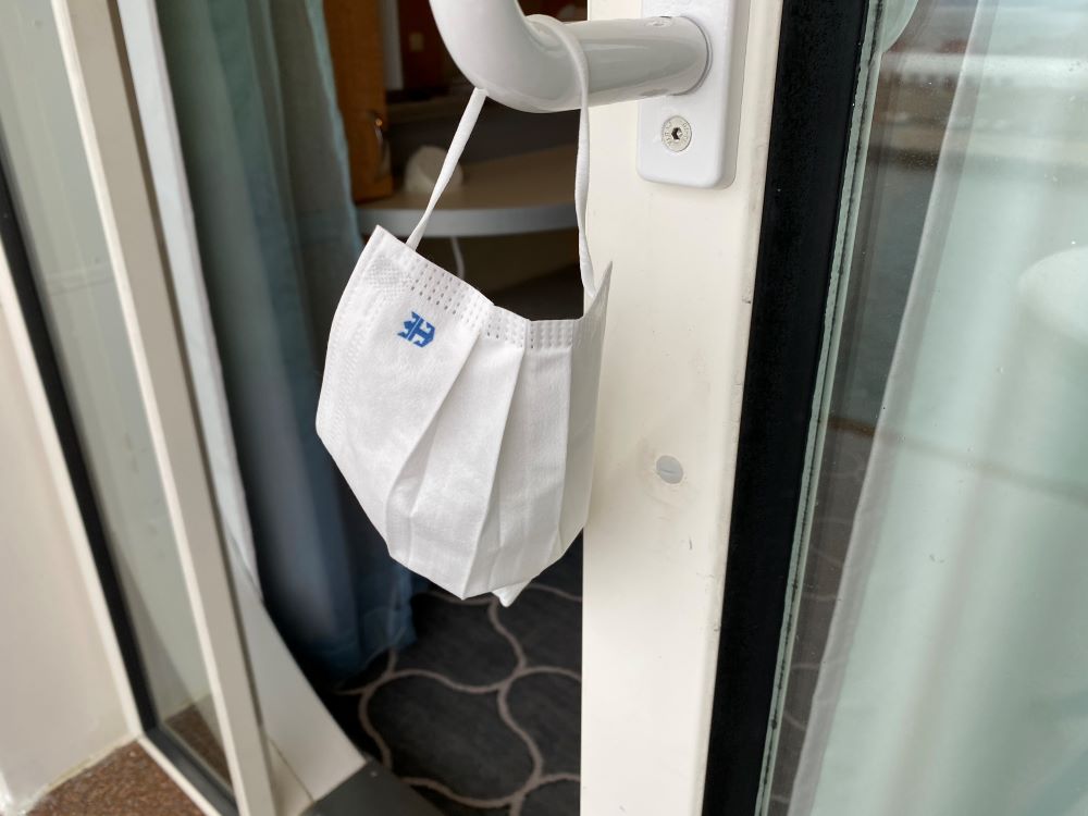 Mask on a cruise ship door