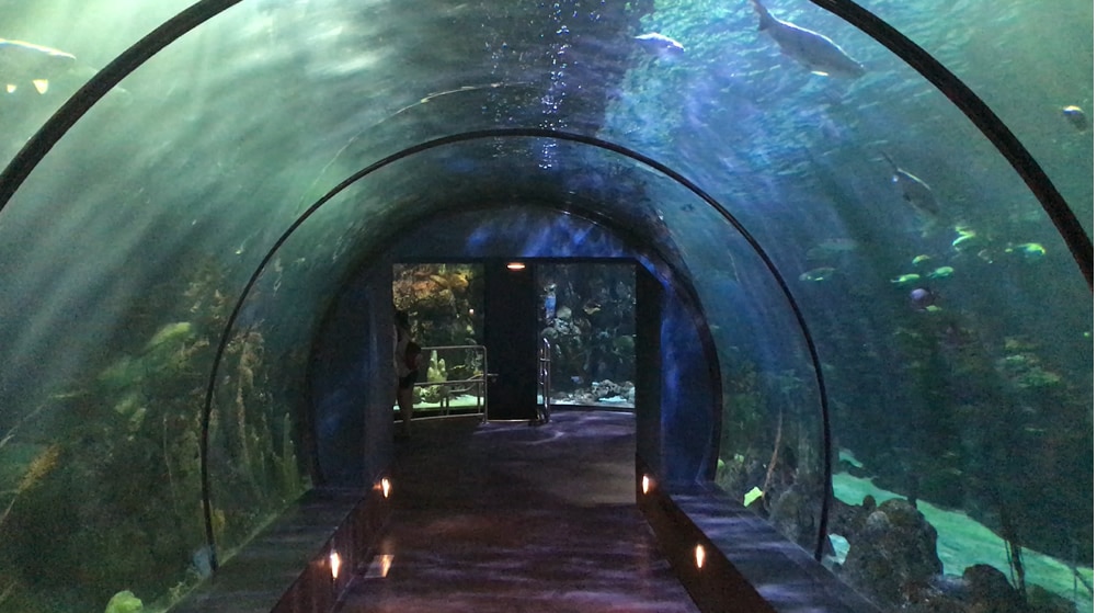 Aquarium tunnel