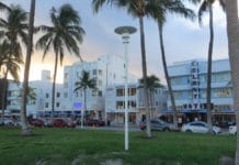 25+ Miami Hotels Near the Cruise Port With Shuttles (Free & Paid) A hotel in Miami, Florida near the cruise port