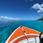 Worth It? 15 Shore Excursion Questions & Answers (Refunds, How to Book, & More)