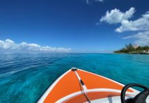 Worth It? 15 Shore Excursion Questions & Answers (Refunds, How to Book, & More)