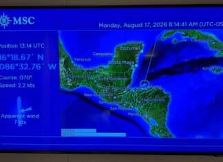 Full List: MSC Cruises’ TV Channel Lineup