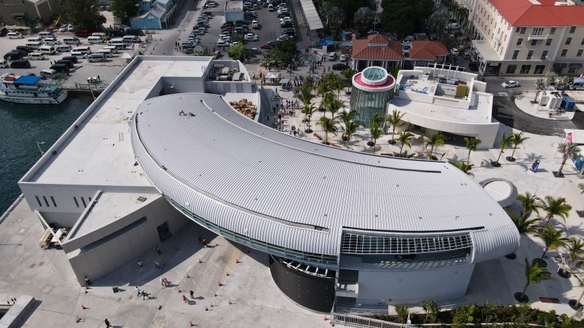 Aerial photo of Nassau cruise port.