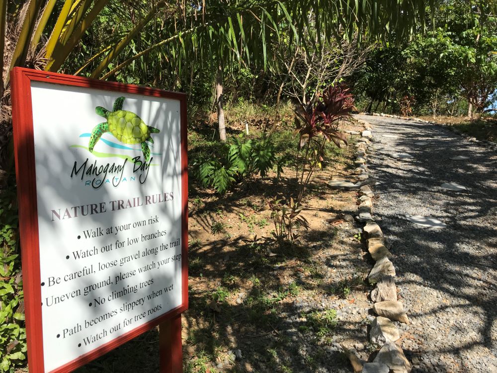 Nature trail in Roatan