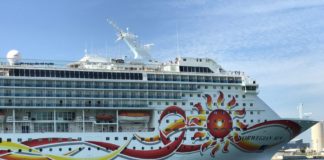 Answered: Should You Pay Your Cruise in Full or Just Pay a Deposit?