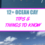 12+ Ocean Cay Tips & Things to Know (MSC Private Island)