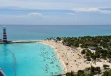 Ocean Cay (MSC’s Private Island): Complete Visitors Guide