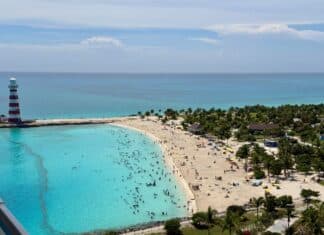 Ocean Cay (MSC’s Private Island): Complete Visitors Guide